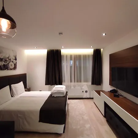 Zoned Ii - Njegomir Kopaonik